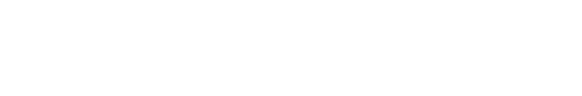 BIM Basis